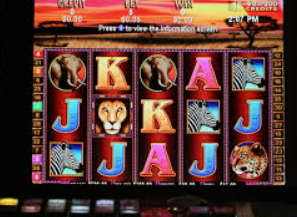 ayx大厅手机版登录入口最新版